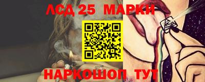 сатива Кингисепп