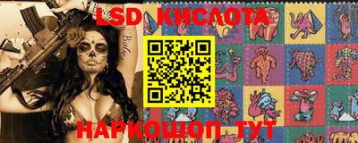 сатива Кингисепп