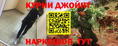 сатива Кингисепп