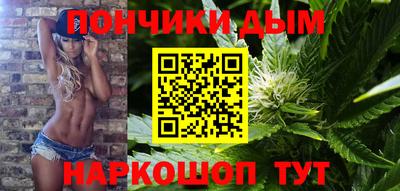 сатива Кингисепп