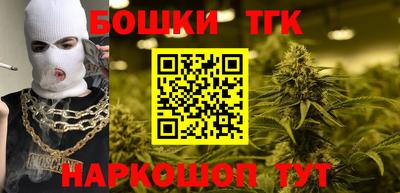 сатива Кингисепп