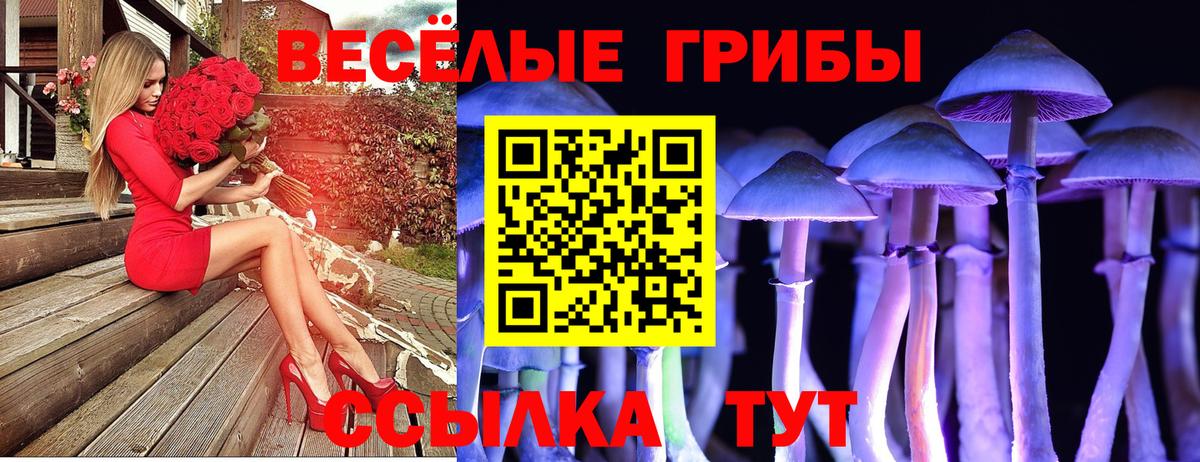 Глазов  Псилоцибиновые грибы GOLDEN TEACHER  Псилоцибиновые грибы ЛСД  Вход с VPN 