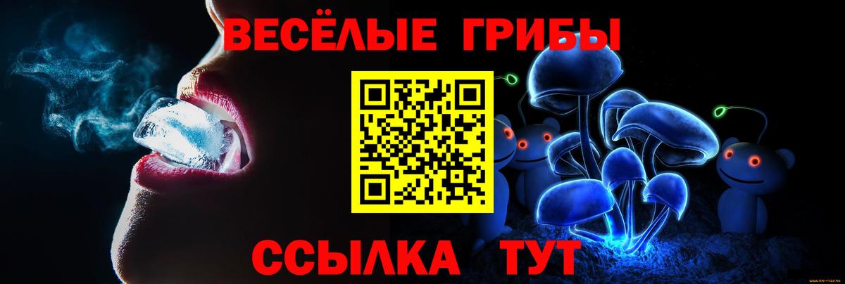 Псилоцибиновые грибы GOLDEN TEACHER Глазов